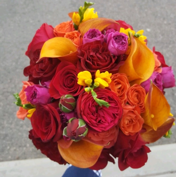 Meet your Posher, Sarah - Picture 1 of 1